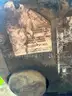 miller bobcat 225 welder/generator