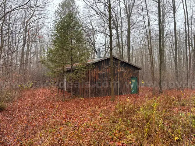 Sugar Shack