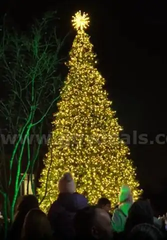35 ft Artificial Pre-Lit Christmas Holiday Tree