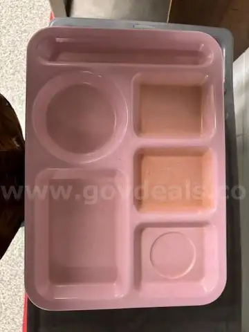 Vintage Pink Cafeteria Trays- 30 pcs