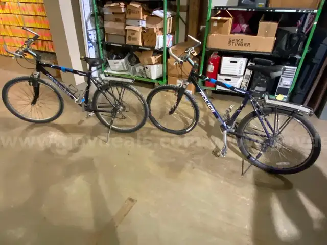Lot of 2 Bicycles