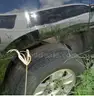 2016 Chevrolet Tahoe  -- 2WD