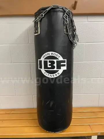 Iron Body Fitness Punching Bag