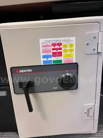 Sentry Safe