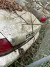 2005 Ford Crown Victoria
