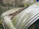2005 Ford Crown Victoria
