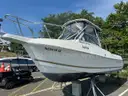 2000 Aqua Sport 24&#x27; 225 w/Evinrude Outboard