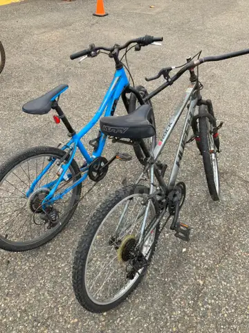 Selling 2 Bicycles