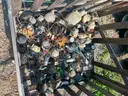 Lot of Water Meters (800+)