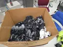 (1) LOT OF ATHLETIC SHOES