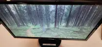 Lot of 5 Asus Monitors