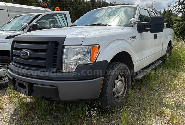 2010 Ford F-150