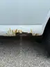 2006 GMC Savana