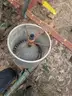 Custom Made 4 row Plot Planter