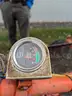 1955 Allis Chalmers Model G tractor