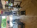 Precor EFX 546 Elliptical , Precor EFX 546 Elliptical , Stairmaster Elliptical
