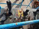 Genie Boom Lift