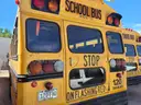 2000 Blue Bird TC2000 School Bus