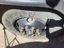 2000 Blue Bird TC2000 School Bus