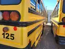 2002 Blue Bird All American 77-Passenger School Bus