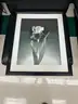 Lot of Mirror/Wall Art