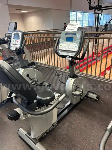 TRUE Recumbent Bike 13