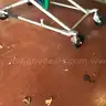 2 Stretchers and 2 Cardiac Monitors