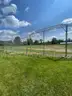 Baseball Backstop, fencing, benches, bleachers, bases