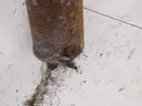 Hockey goal frame