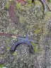 Assorted metal pieces