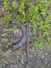 Assorted metal pieces