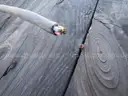 Spool of wire