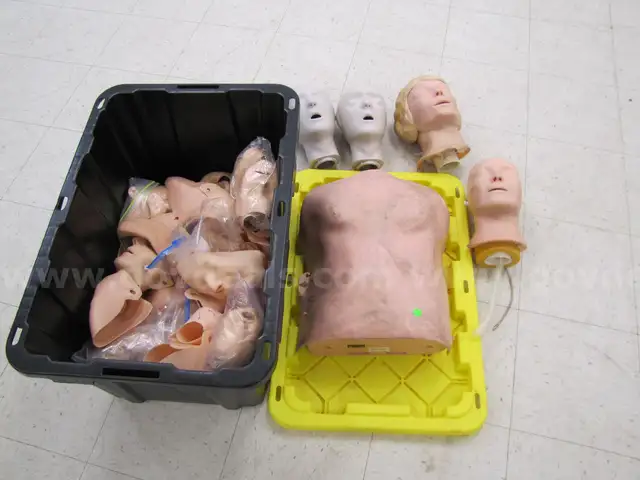 Mannequin torso and pieces