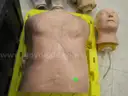 Mannequin torso and pieces
