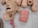 Mixed Mannequin Training Components