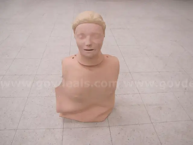 Health mannequin torso and head