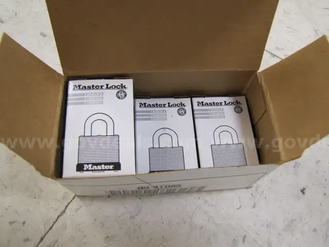 Collection of pad locks