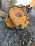 Mott Hammer Knife Mower