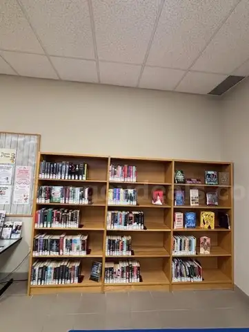 library shelving (solid wood)Library materials not included.