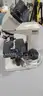 Nikon SE Compound Microscope-Lot of 6