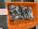 Lot of Misc. Fitness Items