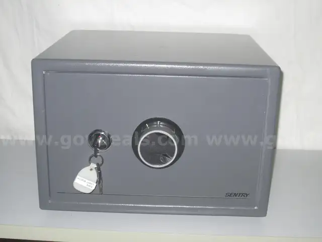 Sentry safe