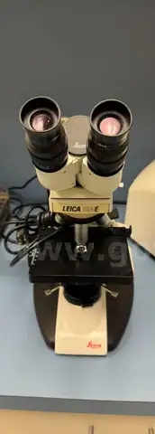 Microscope